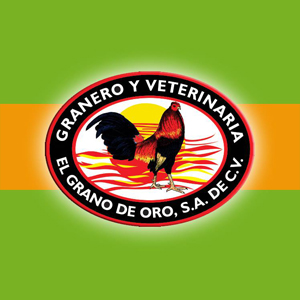Conocenos