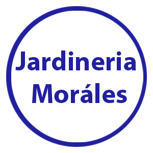 Conocenos