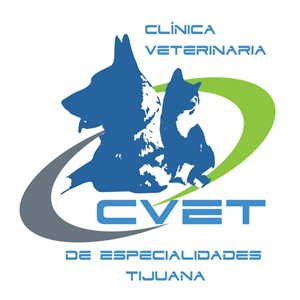 Conocenos