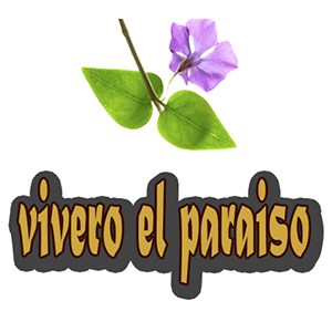 Conocenos